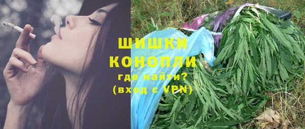 гашик Алексеевка