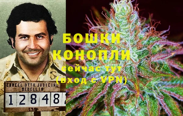 гашик Алексеевка